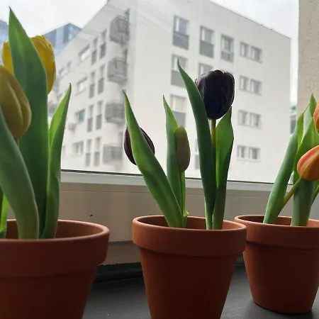 Unique Bohochic Location In Center Warschau