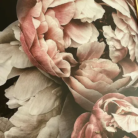 Unique Bohochic Location In Center * ワルシャワ